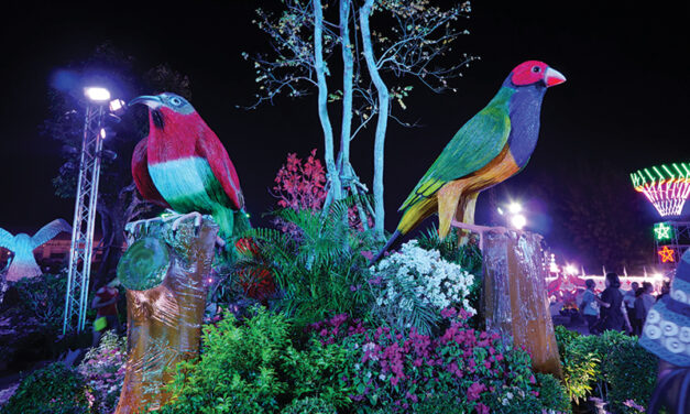 STRAW BIRD FESTIVAL AND RED CROSS FAIR