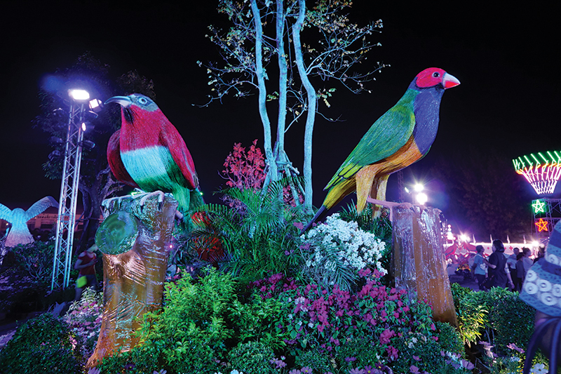 STRAW BIRD FESTIVAL AND RED CROSS FAIR